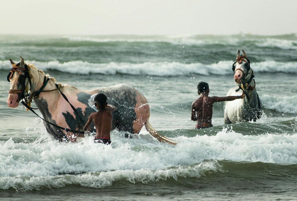 Vizag